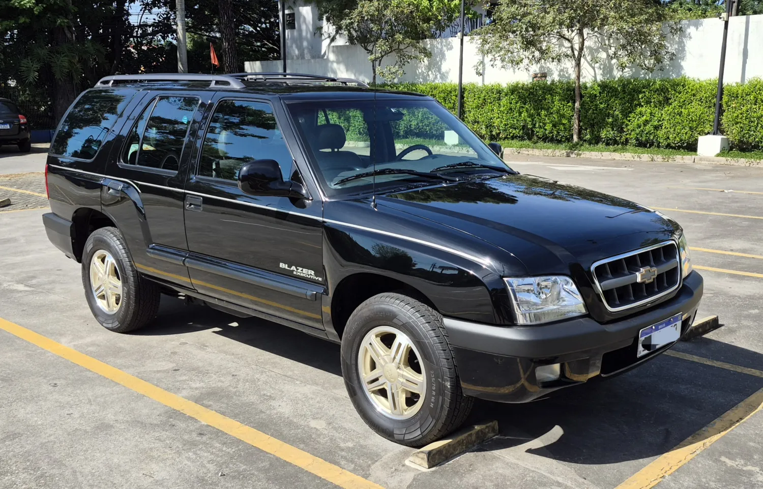 avv-chevrolet-blazer-venda-388d872-imagem-001