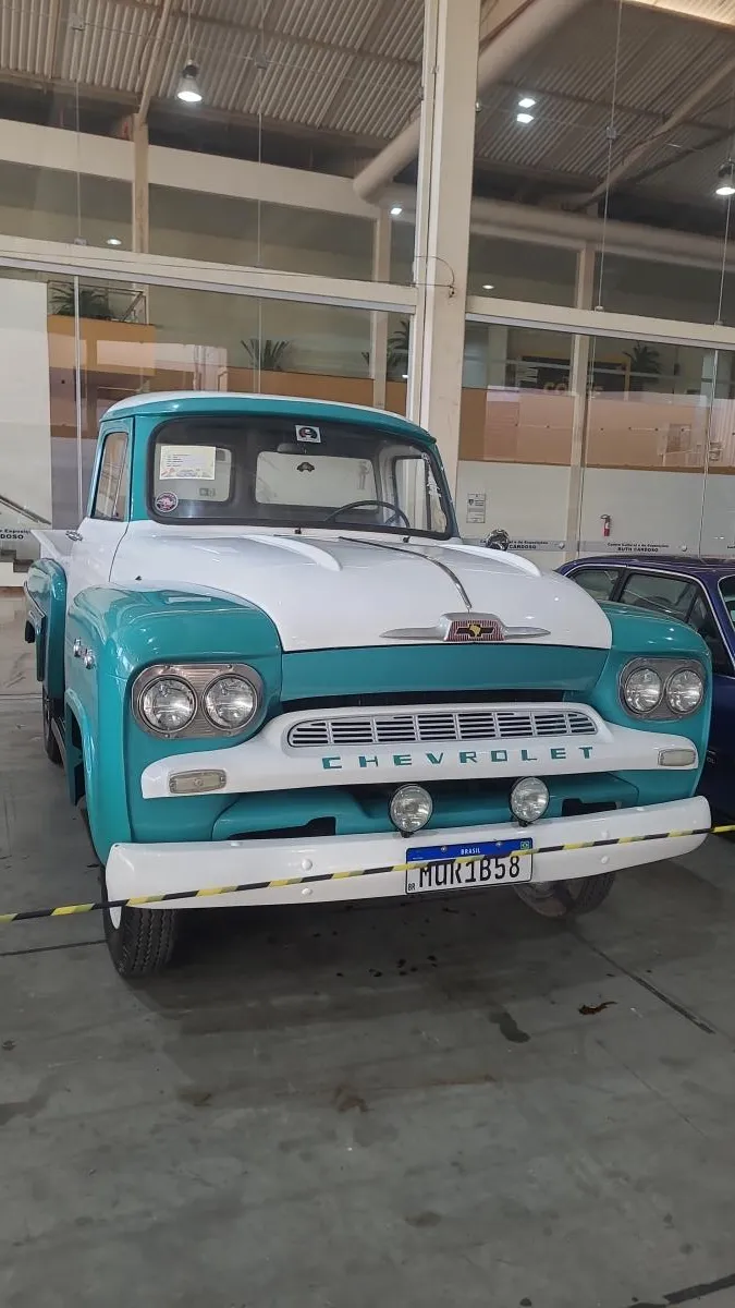 avv-chevrolet-brasil-3100-pick-up-venda-rrighuo-imagem-009