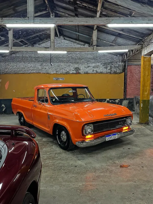 avv-chevrolet-c10-venda-628c147-imagem-001