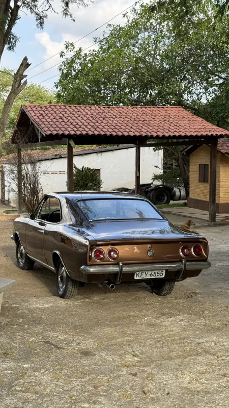 514zjoj-imagem-006