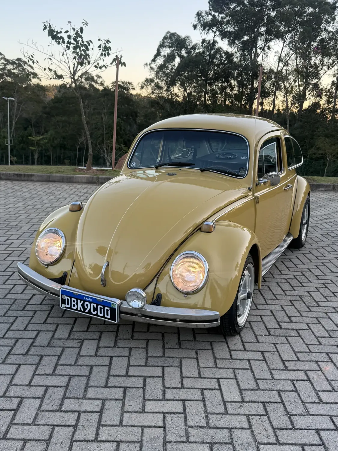 avv-volkswagen-fusca-venda-2327730-imagem-002